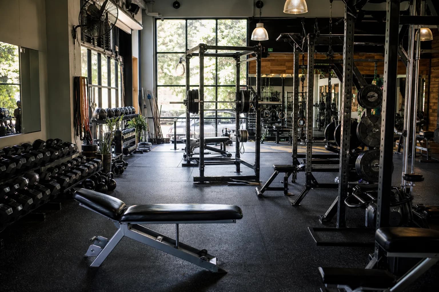 Independent gym floor with free weights, racks, and natural light through large windows